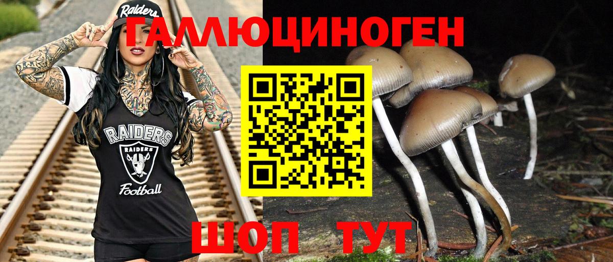 Псилоцибиновые грибы Magic Shrooms Вязники