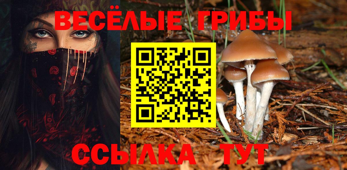 Вязники  Галлюциногенные грибы мухоморы  Вход с VPN  Псилоцибиновые грибы Psilocybine cubensis 